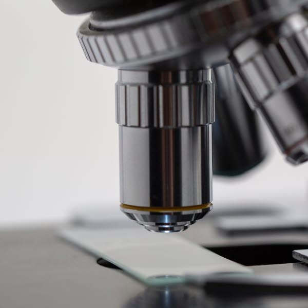 LIFE SCIENCES michael-longmire-L9EV3OogLh0-unsplas.jpg LIFE SCIENCES michael-longmire-L9EV3OogLh0-unsplas.jpg